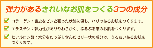 弾力があるきれいなお肌をつくる3つの成分