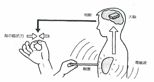 適性テストはどこで行う?