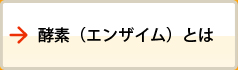 酵素（エンザイム）とは