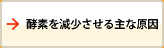 酵素を減少させる主な原因